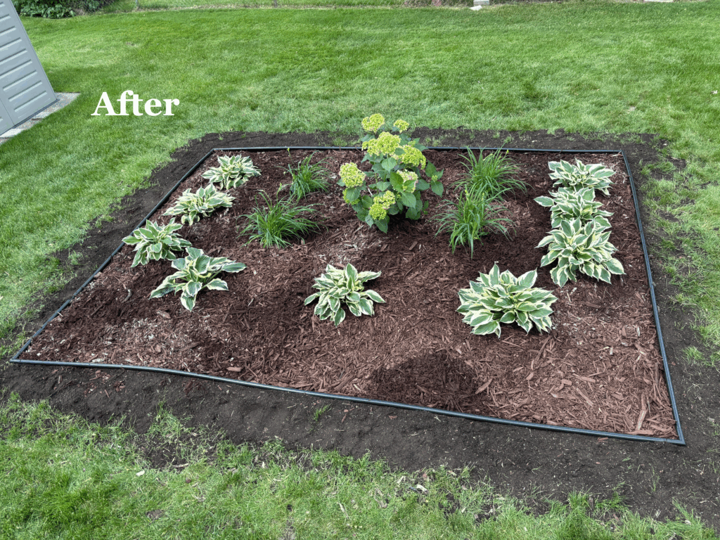 After Landscape Design
