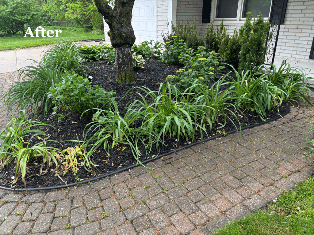After Landscape Design 2