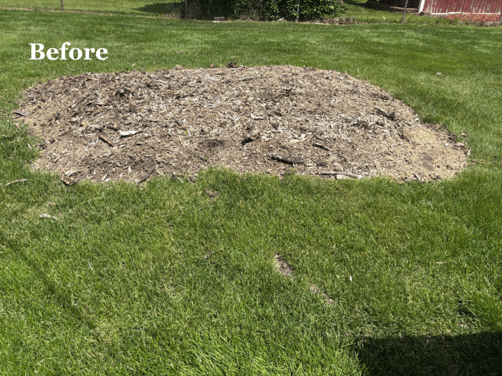 Before Landscape Design