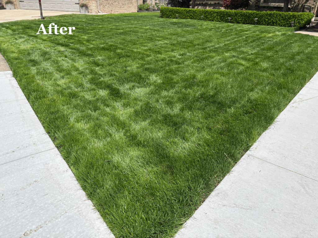 Lawn Reno After