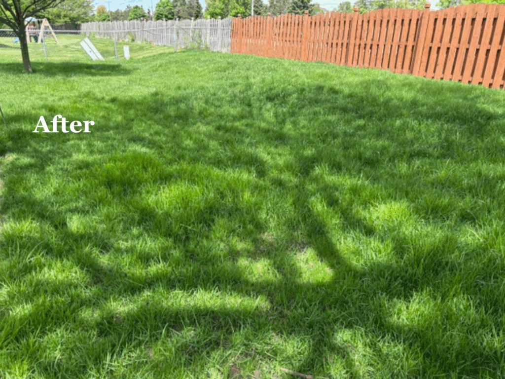 Lawn Reno After 2 (1)