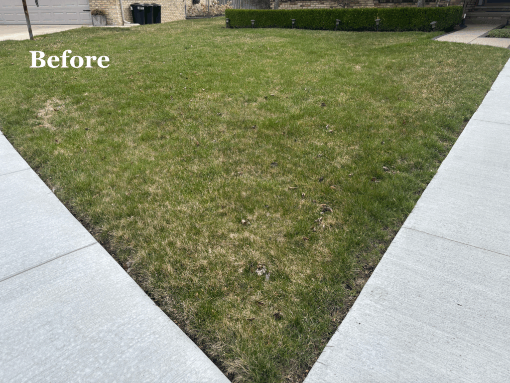 Lawn Reno Before