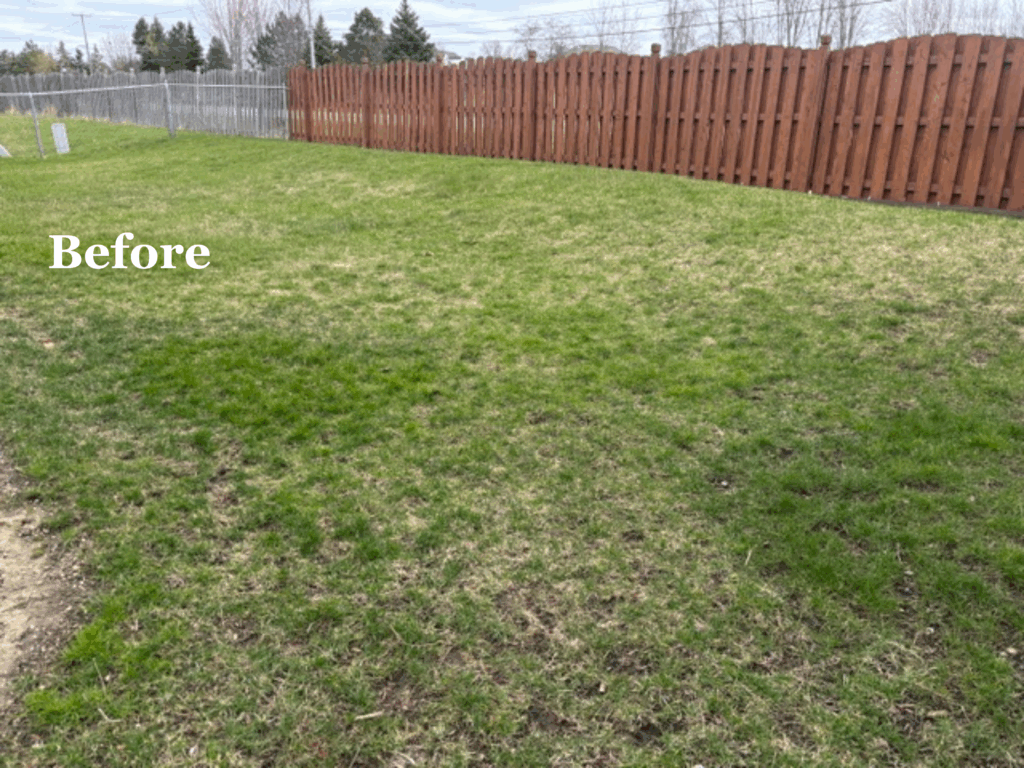 Lawn Reno Before 2